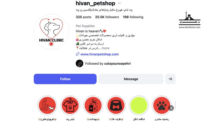 پت شاپ هیون