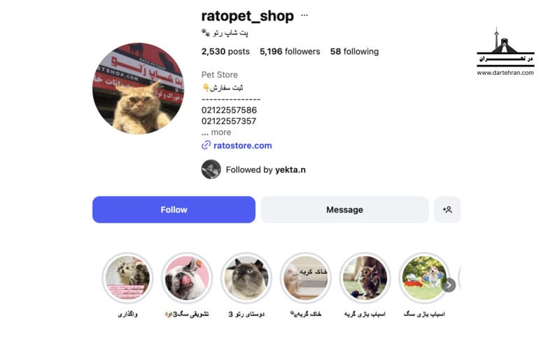 پت شاپ رتو