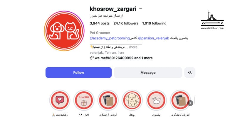 آرایشگر حیوانات عمو خسرو