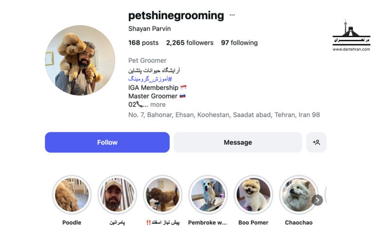 آرایشگاه حیوانات پتشاین