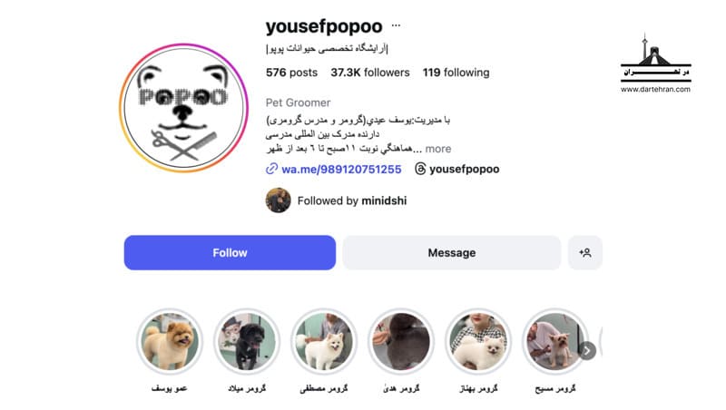 آرایشگاه تخصصی حیوانات پوپو