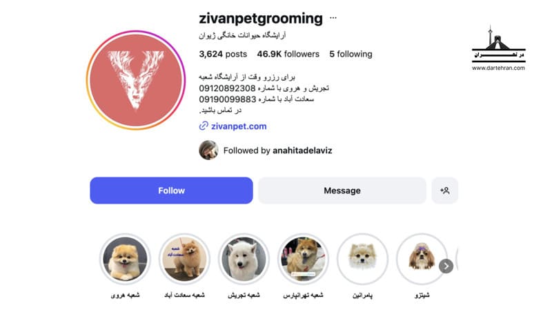 آرایشگاه حیوانات خانگی ژیوان