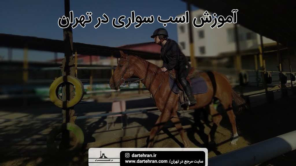 بهترین باشگاه اسب سواری تهران