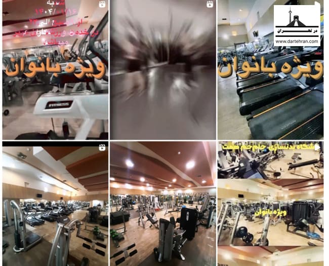 اینستاگرام باشگاه بدنسازی جام جم همت