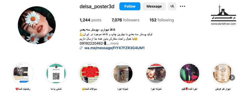 دلسا پوستر سه‌بعدی