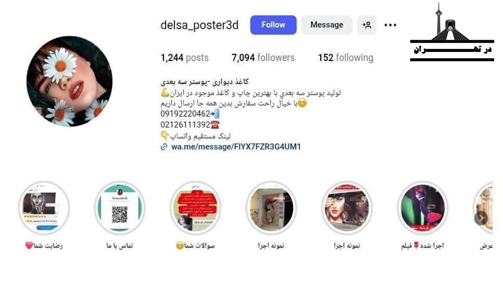 دلسا پوستر سه‌بعدی