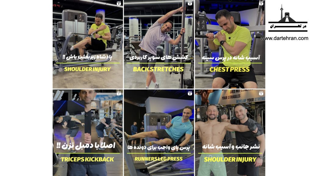 اینستاگرام شروین پناه ‌گر