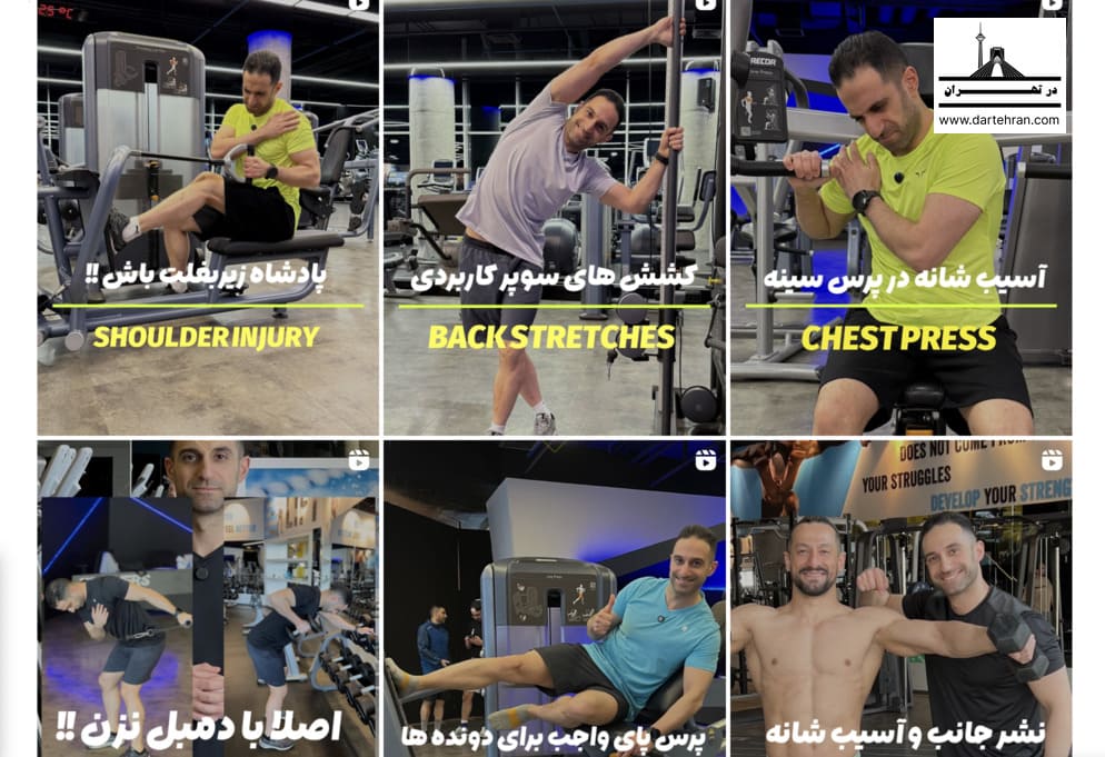 اینستاگرام شروین پناه ‌گر