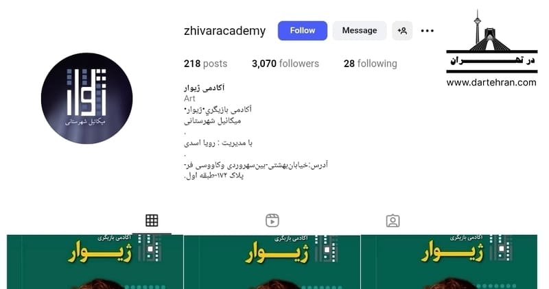 آکادمی ژیوار