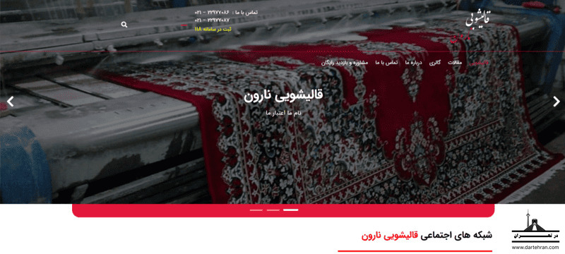 قالیشویی نارون