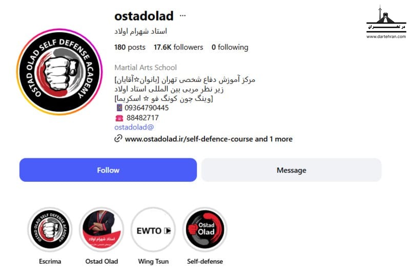 باشگاه وینگ چون استاد شهرام اولاد