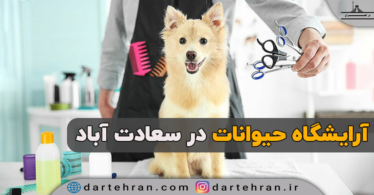 آرایشگاه حیوانات در سعادت آباد
