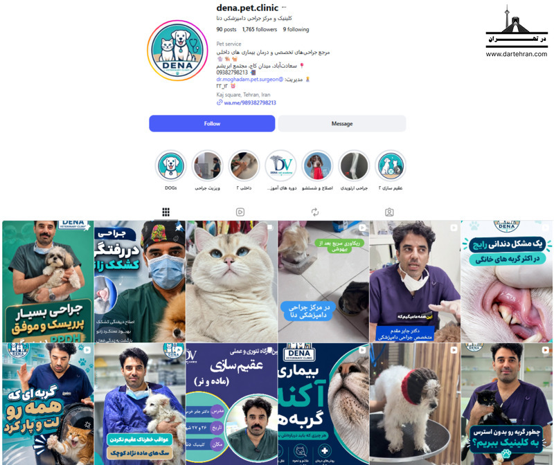 کلینیک و مرکز جراحی دامپزشکی دنا