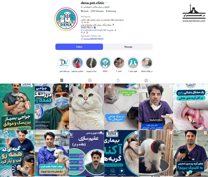 مرکز دنا؛ مجموعه کامل با بخش جداگانه گرومینگ و آرایش حیوانات