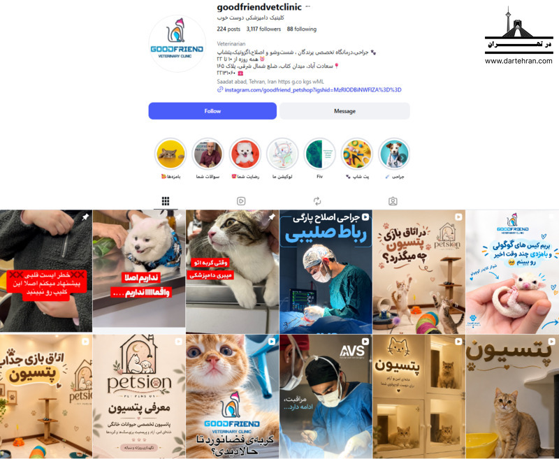 کلینیک دامپزشکی دوست خوب