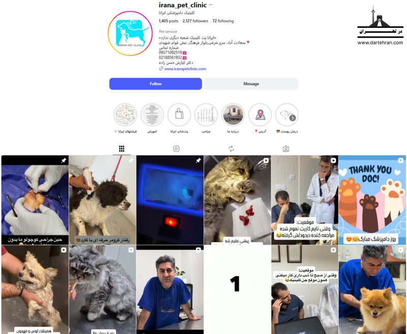مرکز ایرانا؛ خدمات دامپزشکی و گرومینگ در یک مجموعه