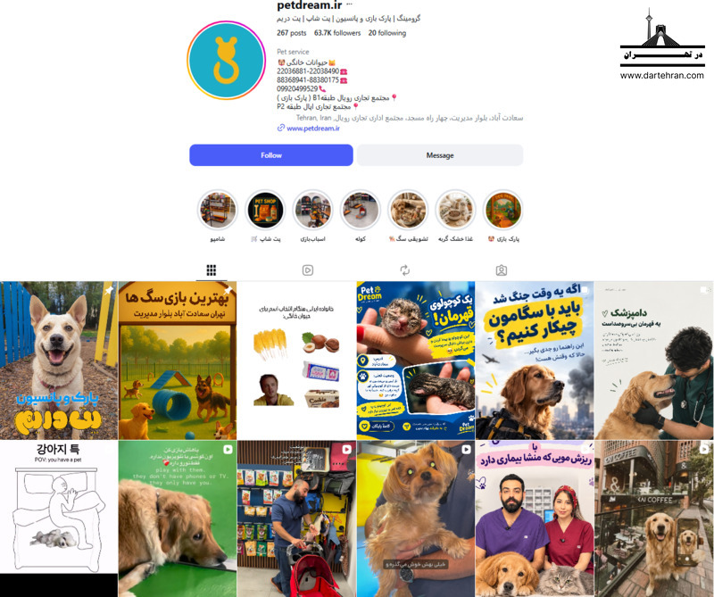 پت دریم؛ گرومینگ در کنار پت‌شاپ، پارک بازی و پانسیون