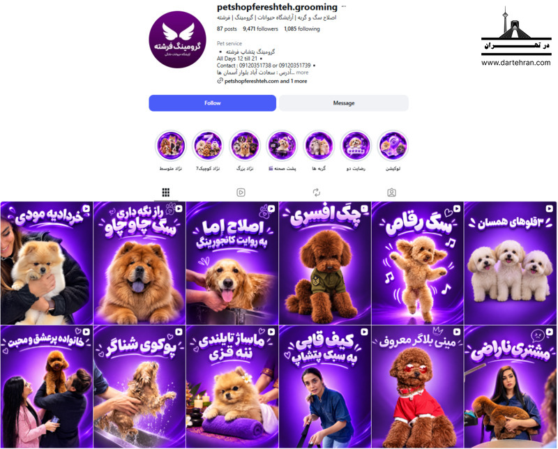 پت‌شاپ فرشته؛ پت‌شاپ با بخش اختصاصی گرومینگ