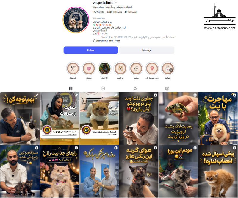 کلینیک دامپزشکی وی‌آی پت | Vi Pet Clinic